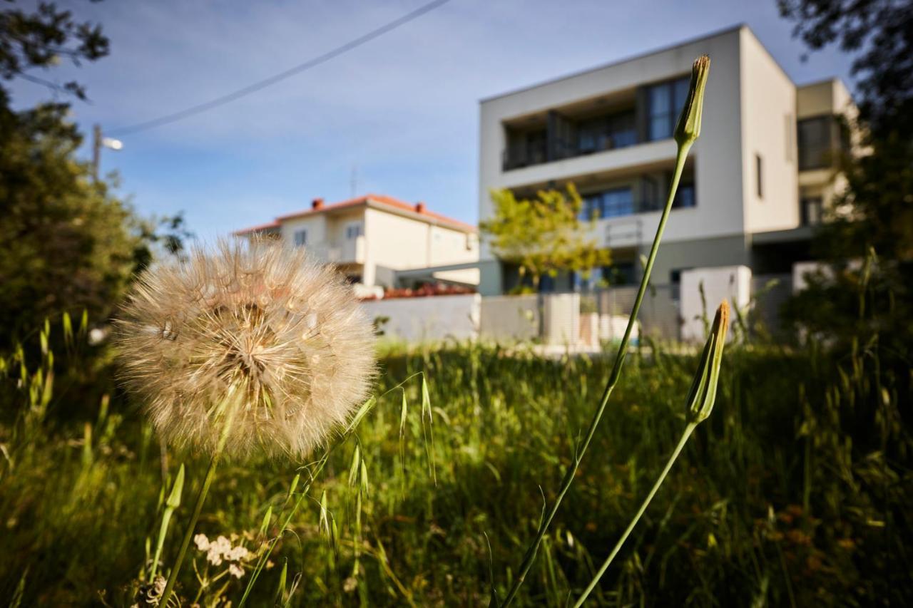 Villa Grdelina San Pietro di Brazza Esterno foto